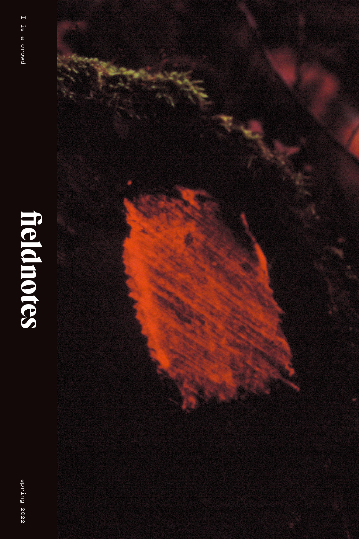 FN003 Front Cover - a bright red smear of paint is set against a black background, moss and branches are visible in the background