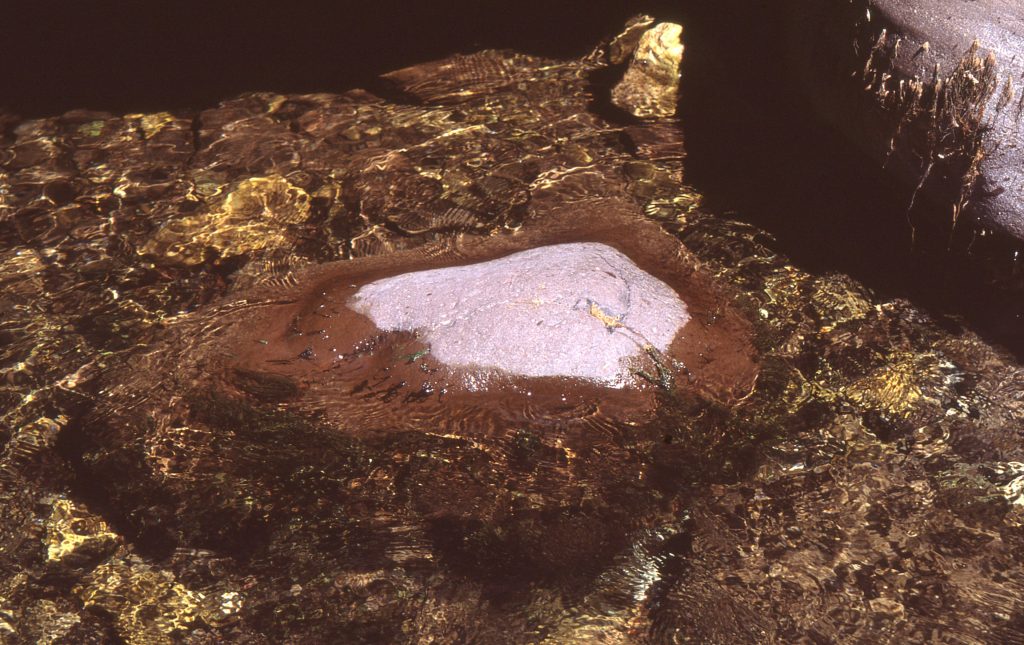 A rock is semi submerged in a river, it is reflecting the light of the sun