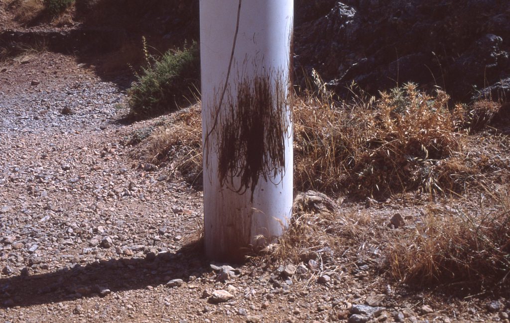 A photo of a white pole on a dirt road with scratches all over it
