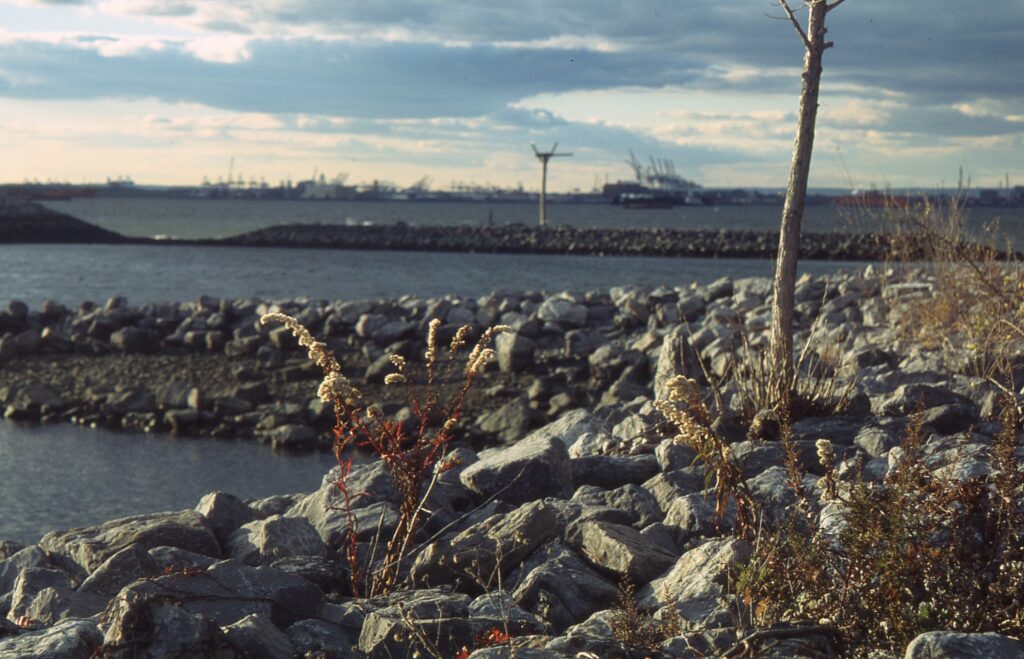 A photo of the waterline of Bush Terminal Park