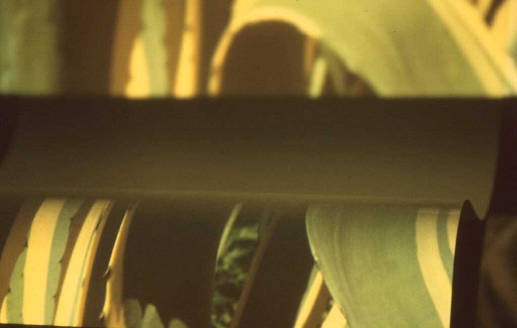 The front cover of Fieldnotes Issue 7