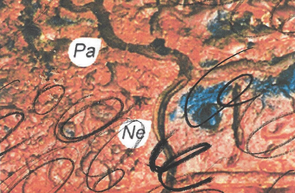 'Premier Jet' by Malcolm Bradley & Juliette Pépin, published in Issue 1 of FIELDNOTES